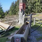 Apartment Family House Apartma