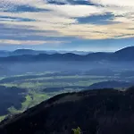 Apartment Family House Apartma