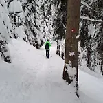 Apartment Family House Apartma Mozirje