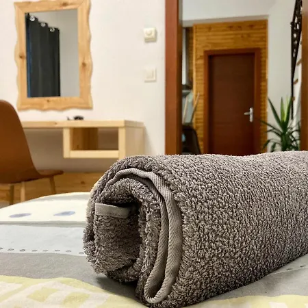 Family House Apartma 公寓 莫济列