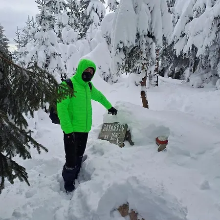 Family House Apartma 아파트 *