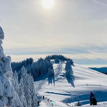 Family House Apartma 아파트