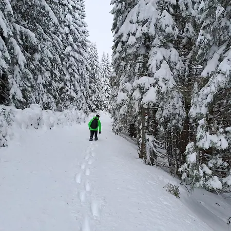 Family House Apartma * 모지례