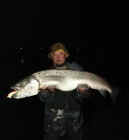 Family House Apartma Mozirje