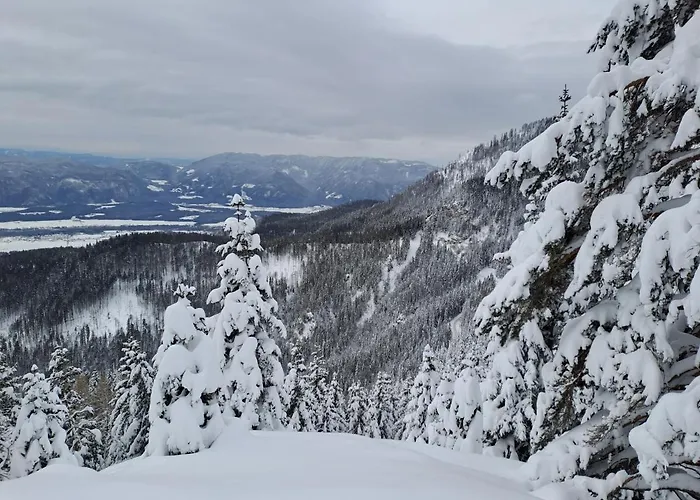 Διαμέρισμα Family House Apartma