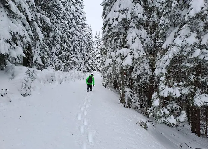 Family House Apartma * Mozirje