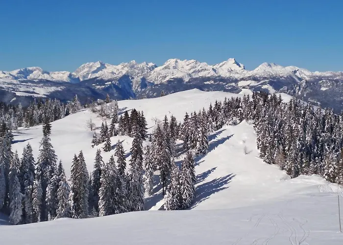 Family House Apartma Apartamento