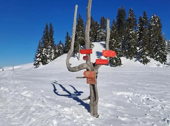 Family House Apartma Apartamento