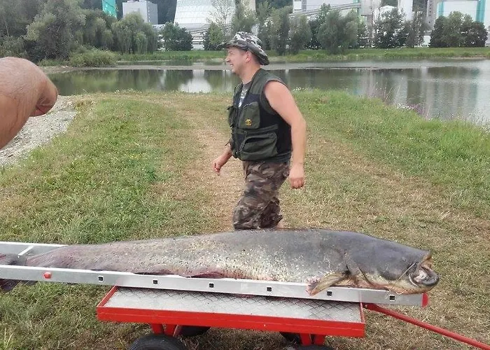 Family House Apartma