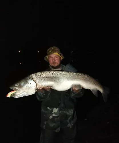 Family House Apartma Mozirje